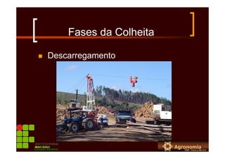 Fases da Colheita
Descarregamento
Campus Bambuí
 