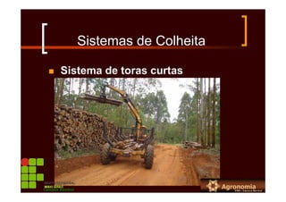 Sistemas de Colheita
Sistema de toras curtas
Campus Bambuí
 
