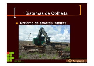 Sistemas de Colheita
Sistema de árvores inteiras
Campus Bambuí
 