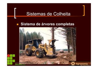Sistemas de Colheita
Sistema de árvores completas
Campus Bambuí
 