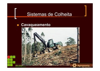 Sistemas de Colheita
Cavaqueamento
Campus Bambuí
 