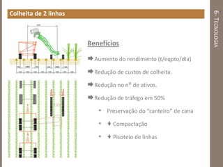 6-TECNOLOGIA
Colheita de 2 linhas
Benefícios
Aumento do rendimento (t/eqpto/dia)
Redução de custos de colheita.
Redução no n° de ativos.
Redução de tráfego em 50%
• Preservação do “canteiro” de cana
•  Compactação
•  Pisoteio de linhas
 