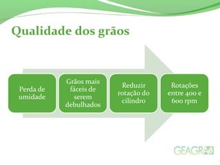 Qualidade dos grãos
 