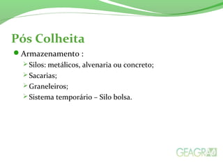 Pós Colheita
Armazenamento :
 Silos: metálicos, alvenaria ou concreto;
 Sacarias;
 Graneleiros;
 Sistema temporário – Silo bolsa.
 