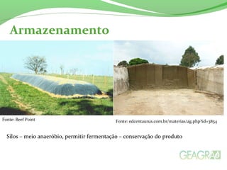 Armazenamento
Silos – meio anaeróbio, permitir fermentação – conservação do produto
Fonte: Beef Point Fonte: edcentaurus.com.br/materias/ag.php?id=3854
 