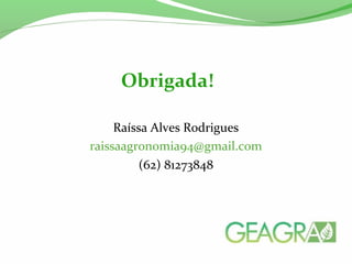 Raíssa Alves Rodrigues
raissaagronomia94@gmail.com
(62) 81273848
Obrigada!
 