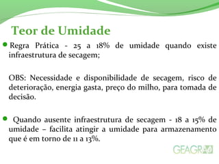 Teor de Umidade
Regra Prática - 25 a 18% de umidade quando existe
infraestrutura de secagem;
OBS: Necessidade e disponibilidade de secagem, risco de
deterioração, energia gasta, preço do milho, para tomada de
decisão.
 Quando ausente infraestrutura de secagem - 18 a 15% de
umidade – facilita atingir a umidade para armazenamento
que é em torno de 11 a 13%.
 