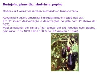 Berinjela , pimentão, abobrinha, pepino
Colher 2 a 3 vezes por semana, atentando ao tamanho certo.
Abobrinha e pepino embrulhar individualmente em papel nas cxs.
Em Tº sofrem descoloração e deformações de pele com Tº abaixo de
10°C.
Para armazenar em câmara fria, colocar em cxs forradas com plástico
perfurado. Tº de 10°C e 90 a 100 % de UR (mantem 10 dias).
 