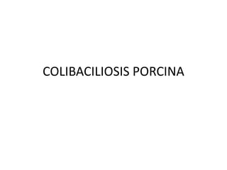 COLIBACILIOSIS PORCINA
 