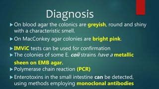 Diagnosis
 On blood agar the colonics are greyish, round and shiny
with a characteristic smell.
 On MacConkey agar colonies are bright pink.
 IMViC tests can be used for confirmation
 The colonies of some E. coii strains have a metallic
sheen on EMB agar.
 Polymerase chain reaction (PCR)
 Enterotoxins in the small intestine can be detected,
using methods employing monoclonal antibodies
 