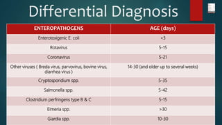 Differential Diagnosis
ENTEROPATHOGENS AGE (days)
Enterotoxigenic E. coli <3
Rotavirus 5-15
Coronavirus 5-21
Other viruses ( Breda virus, parvovirus, bovine virus,
diarrhea virus )
14-30 (and older up to several weeks)
Cryptosporidium spp. 5-35
Salmonella spp. 5-42
Clostridium perfringens type B & C 5-15
Eimeria spp. >30
Giardia spp. 10-30
 