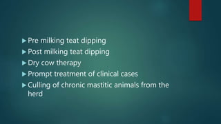  Pre milking teat dipping
 Post milking teat dipping
 Dry cow therapy
 Prompt treatment of clinical cases
 Culling of chronic mastitic animals from the
herd
 