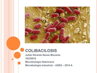 COLIBACILOSIS
Julián Ricardo Navas Monares
10332010
Microbiología Veterinaria
Microbiología Industrial – UDES – 2014 A
 