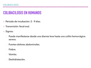 COLIBACILOSIS
COLIBACILOSIS EN HUMANOS
▸ Periodo de incubación: 2 - 9 días.
▸ Transmisión: fecal-oral.
▸ Signos:
- Puede manifestarse desde una diarrea leve hasta una colitis hemorrágica
severa.
- Fuertes dolores abdominales.
- Fiebre.
- Vómito.
- Deshidratación.
 