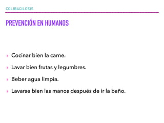 COLIBACILOSIS
PREVENCIÓN EN HUMANOS
▸ Cocinar bien la carne.
▸ Lavar bien frutas y legumbres.
▸ Beber agua limpia.
▸ Lavarse bien las manos después de ir la baño.
 