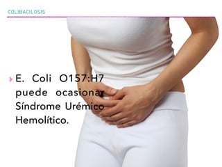COLIBACILOSIS
▸ E. Coli O157:H7
puede ocasionar
Síndrome Urémico
Hemolítico.
 
