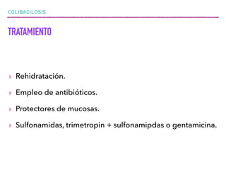 COLIBACILOSIS
TRATAMIENTO
▸ Rehidratación.
▸ Empleo de antibióticos.
▸ Protectores de mucosas.
▸ Sulfonamidas, trimetropin + sulfonamipdas o gentamicina.
 