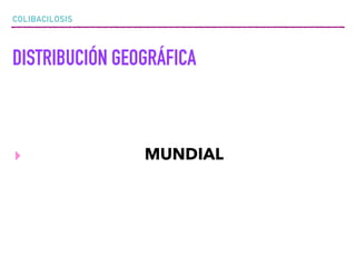 COLIBACILOSIS
DISTRIBUCIÓN GEOGRÁFICA
▸ MUNDIAL
 
