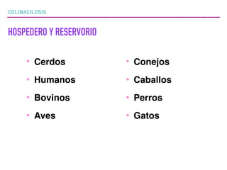COLIBACILOSIS
HOSPEDERO Y RESERVORIO
• Cerdos
• Humanos
• Bovinos
• Aves
• Conejos
• Caballos
• Perros
• Gatos
 