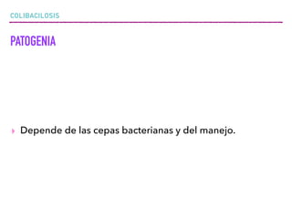 COLIBACILOSIS
PATOGENIA
▸ Depende de las cepas bacterianas y del manejo.
 