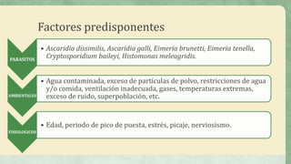 Factores predisponentes
PARASITOS
• Ascaridia dissimilis, Ascaridia galli, Eimeria brunetti, Eimeria tenella,
Cryptosporidium baileyi, Histomonas meleagridis.
AMBIENTALES
• Agua contaminada, exceso de partículas de polvo, restricciones de agua
y/o comida, ventilación inadecuada, gases, temperaturas extremas,
exceso de ruido, superpoblación, etc.
FISIOLOGICOS
• Edad, periodo de pico de puesta, estrés, picaje, nerviosismo.
 
