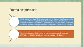 Forma respiratoria
Suele iniciarse a nivel del tracto respiratorio. Cuando E. coli atraviesa la
mucosa del tracto respiratorio y alcanza el torrente circulatorio, se
origina una infección sistémica generalizada o colisepticemia, donde se
observan lesiones comoperihepatitis, peritonitis y pericarditis fibrinosa.
Entre los síntomas clínicos que se manifiestan, se puede observar
dificultad respiratoria o disnea acompañada de estertores.
 