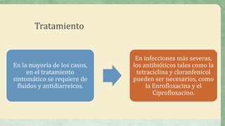 Tratamiento
En la mayoría de los casos,
en el tratamiento
sintomático se requiere de
fluidos y antidiarreicos.
En infecciones más severas,
los antibióticos tales como la
tetraciclina y cloranfenicol
pueden ser necesarios, como
la Enrofloxacina y el
Ciprofloxacino.
 
