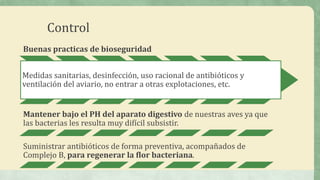 Control
Buenas practicas de bioseguridad
Medidas sanitarias, desinfección, uso racional de antibióticos y
ventilación del aviario, no entrar a otras explotaciones, etc.
Mantener bajo el PH del aparato digestivo de nuestras aves ya que
las bacterias les resulta muy difícil subsistir.
Suministrar antibióticos de forma preventiva, acompañados de
Complejo B, para regenerar la flor bacteriana.
 
