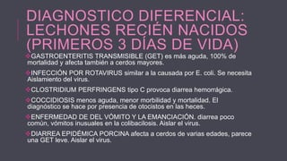 DIAGNOSTICO DIFERENCIAL:
LECHONES RECIÉN NACIDOS
(PRIMEROS 3 DÍAS DE VIDA)

GASTROENTERITIS TRANSMISIBLE (GET) es más aguda, 100% de
mortalidad y afecta también a cerdos mayores.

INFECCIÓN POR ROTAVIRUS similar a la causada por E. coli. Se necesita
Aislamiento del virus.
CLOSTRIDIUM PERFRINGENS tipo C provoca diarrea hemorrágica.
COCCIDIOSIS menos aguda, menor morbilidad y mortalidad. El
diagnóstico se hace por presencia de otocistos en las heces.
ENFERMEDAD DE DEL VÓMITO Y LA EMANCIACIÓN. diarrea poco
común, vómitos inusuales en la colibacilosis. Aislar el virus.
DIARREA EPIDÉMICA PORCINA afecta a cerdos de varias edades, parece
una GET leve. Aislar el virus.

 