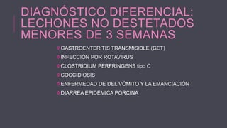 DIAGNÓSTICO DIFERENCIAL:
LECHONES NO DESTETADOS
MENORES DE 3 SEMANAS
GASTROENTERITIS TRANSMISIBLE (GET)
INFECCIÓN POR ROTAVIRUS
CLOSTRIDIUM PERFRINGENS tipo C

COCCIDIOSIS
ENFERMEDAD DE DEL VÓMITO Y LA EMANCIACIÓN
DIARREA EPIDÉMICA PORCINA

 