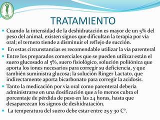 TRATAMIENTO
 Cuando la intensidad de la deshidratación es mayor de un 5% del
peso del animal, existen signos que dificultan la terapia por vía
oral; el ternero tiende a disminuir el reflejo de succión.
 En estas circunstancias es recomendable utilizar la vía parenteral
 Entre los preparados comerciales que se pueden utilizar están el
suero glucosado al 5%, suero fisiológico, solución poliiónica que
aporta los iones necesarios para corregir su deficiencia, y que
también suministra glucosa; la solución Ringer Lactato, que
indirectamente aporta bicarbonato para corregir la acidosis.
 Tanto la medicación por vía oral como parenteral debería
administrarse en una dosificación que a lo menos cubra el
porcentaje de pérdida de peso en las 24 horas, hasta que
desaparezcan los signos de deshidratación.
 La temperatura del suero debe estar entre 25 y 30 C°.
 