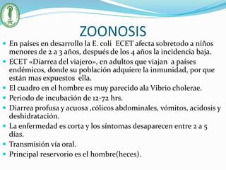 ZOONOSIS
 En países en desarrollo la E. coli ECET afecta sobretodo a niños
menores de 2 a 3 años, después de los 4 años la incidencia baja.
 ECET «Diarrea del viajero», en adultos que viajan a países
endémicos, donde su población adquiere la inmunidad, por que
están mas expuestos ella.
 El cuadro en el hombre es muy parecido ala Vibrio cholerae.
 Periodo de incubación de 12-72 hrs.
 Diarrea profusa y acuosa ,cólicos abdominales, vómitos, acidosis y
deshidratación.
 La enfermedad es corta y los síntomas desaparecen entre 2 a 5
días.
 Transmisión vía oral.
 Principal reservorio es el hombre(heces).
 