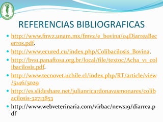 REFERENCIAS BIBLIOGRAFICAS
 http://www.fmvz.unam.mx/fmvz/e_bovina/04DiarreaBec
erros.pdf.
 http://www.ecured.cu/index.php/Colibacilosis_Bovina.
 http://bvs1.panaftosa.org.br/local/file/textoc/Acha_v1_col
ibacilosis.pdf.
 http://www.tecnovet.uchile.cl/index.php/RT/article/view
/5146/5029
 http://es.slideshare.net/julianricardonavasmonares/colib
acilosis-32713853
 http://www.webveterinaria.com/virbac/news19/diarrea.p
df
 