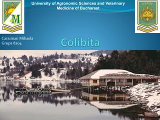 University of Agronomic Sciences and Veterinary
Medicine of Bucharest
Caraiman Mihaela
Grupa 8204
 