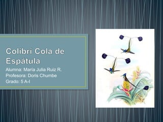 Alumna: María Julia Ruiz R.
Profesora: Doris Chumbe
Grado: 5 A-I
 