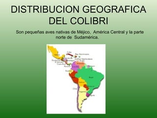 DISTRIBUCION GEOGRAFICA DEL COLIBRI Son pequeñas aves nativas de Méjico,  América Central y la parte norte de  Sudamérica.  