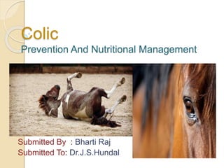 Colic
Prevention And Nutritional Management
Submitted By : Bharti Raj
Submitted To: Dr.J.S.Hundal
 