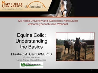 My Horse University and eXtension’s HorseQuest welcome you to this live Webcast. Equine Colic: Understanding the Basics Elizabeth A. Carr DVM, PhD Equine Medicine Large Animal Clinical Sciences 1 