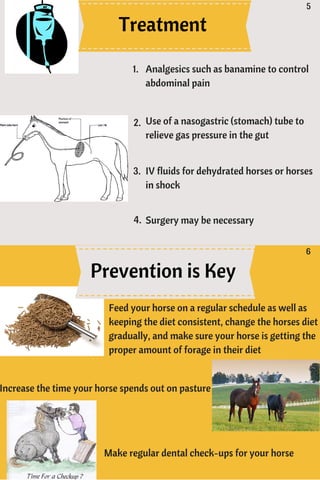 Treatment
Prevention is Key
Use of a nasogastric (stomach) tube to
relieve gas pressure in the gut
Surgery may be necessary
Analgesics such as banamine to control
abdominal pain
IV fluids for dehydrated horses or horses
in shock
1.
2.
3.
4.
Increase the time your horse spends out on pasture
Feed your horse on a regular schedule as well as
keeping the diet consistent, change the horses diet
gradually, and make sure your horse is getting the
proper amount of forage in their diet
Make regular dental check-ups for your horse
5
6
 