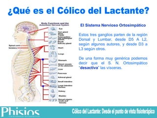 ¿Qué es el Cólico del Lactante? El Sistema Nervioso Ortosimpático Estos tres ganglios parten de la región Dorsal y Lumbar, desde D5 A L2, según algunos autores, y desde D3 a L3 según otros. De una forma muy genérica podemos decir que el S. N. Ortosimpático “ desactiva ” las vísceras. Cólico del Lactante: Desde el punto de vista fisioterápico 
