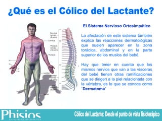 ¿Qué es el Cólico del Lactante? El Sistema Nervioso Ortosimpático La afectación de este sistema también explica las reacciones dermatológicas que suelen aparecer en la zona torácica, abdominal y en la parte superior de los muslos del bebé. Hay que tener en cuenta que los mismos nervios que van a las vísceras del bebé tienen otras ramificaciones que se dirigen a la piel relacionada con la vértebra, es lo que se conoce como “ Dermatoma ” Cólico del Lactante: Desde el punto de vista fisioterápico 