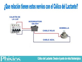 INTERRUPTOR ON-OFF BOMBILLA CABLE ROJO CABLE AZUL CAJETÍN DE  LA LUZ ¿Que relación tienen estos nervios con el Cólico del Lactante? Cólico del Lactante: Desde el punto de vista fisioterápico 
