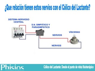 S.N. SIMPÁTICO Y PARASIMPÁTICO VÍSCERAS NERVIOS NERVIOS SISTEMA NERVIOSO CENTRAL ¿Que relación tienen estos nervios con el Cólico del Lactante? Cólico del Lactante: Desde el punto de vista fisioterápico 