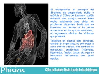 Si extrapolamos el concepto del Síndrome de atrapamiento doble o múltiple al Cólico del Lactante, podéis entender que aunque vuestro bebé reciba tratamiento para aliviar los problemas viscerales, hasta que no liberemos los nervios en las zonas anatómicas en los que se comprime,  no lograremos eliminar los síntomas que presenta. Teniendo en cuenta este concepto, también es importante, no solo tratar la zona craneal y dorsal, sino también las estructuras anatómicas (músculos, ligamentos, fascias, vasos, etc.) que se relacionan íntimamente con estos nervios. Cólico del Lactante: Desde el punto de vista fisioterápico 