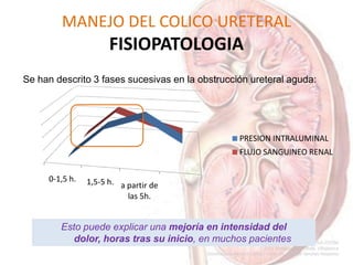 MANEJO DEL COLICO URETERAL
FISIOPATOLOGIA
Se han descrito 3 fases sucesivas en la obstrucción ureteral aguda:
Esto puede explicar una mejoría en intensidad del
dolor, horas tras su inicio, en muchos pacientes
0-1,5 h. 1,5-5 h. a partir de
las 5h.
PRESION INTRALUMINAL
FLUJO SANGUINEO RENAL
 