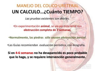 MANEJO DEL COLICO URETERAL
UN CALCULO…¿Cuánto TIEMPO?
Las pruebas existentes son débiles.
•En experimentación animal, se vio perdida renal con
obstrucción completa de 2 semanas.
•Normalmente, las piedras sólo causan obstrucción parcial.
•Las Guías recomiendan evaluación periódica, con ecografía.
Si en 4-6 semanas no ha desaparecido es poco probable
que lo haga, y se requiere intervención generalmente.
 