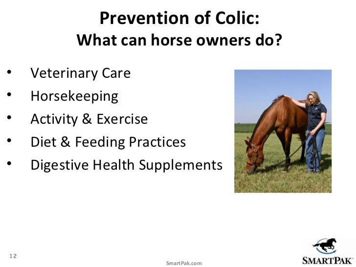 Colic Prevention Proven Tips To Help Reduce Your Horse S Risk