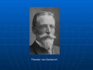 Theodor von Escherich 