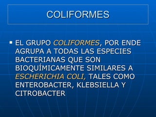 COLIFORMES EL GRUPO  COLIFORMES , POR ENDE AGRUPA A TODAS LAS ESPECIES BACTERIANAS QUE SON BIOQUÍMICAMENTE SIMILARES A  ESCHERICHIA COLI,  TALES COMO ENTEROBACTER, KLEBSIELLA Y CITROBACTER 