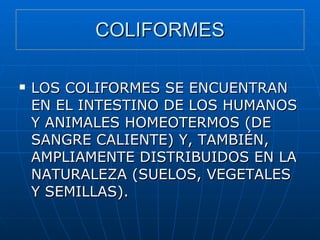 COLIFORMES LOS COLIFORMES SE ENCUENTRAN EN EL INTESTINO DE LOS HUMANOS Y ANIMALES HOMEOTERMOS (DE SANGRE CALIENTE) Y, TAMBIÉN, AMPLIAMENTE DISTRIBUIDOS EN LA NATURALEZA (SUELOS, VEGETALES Y SEMILLAS). 